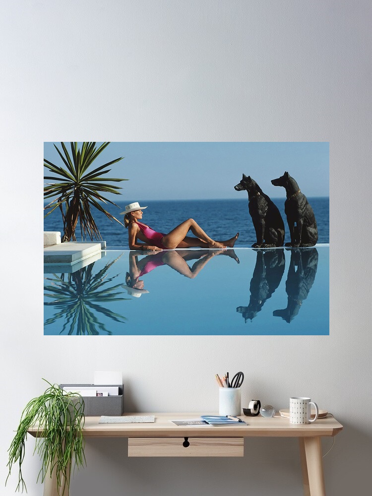 Retro Poolside Host Luxury Lif - Luxury Lifestyle Picture recensie en prijs