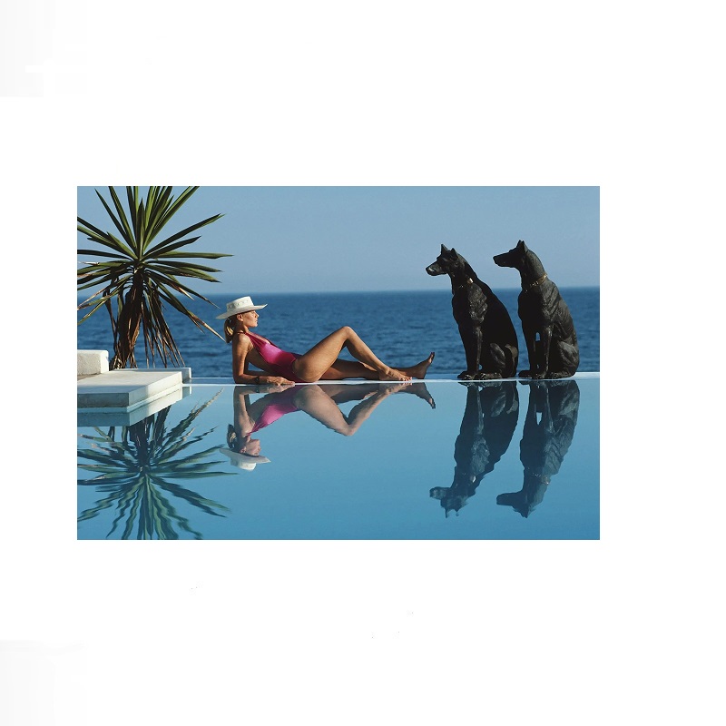 Retro Poolside Host Luxury Lif - Luxury Lifestyle Picture recensie en prijs
